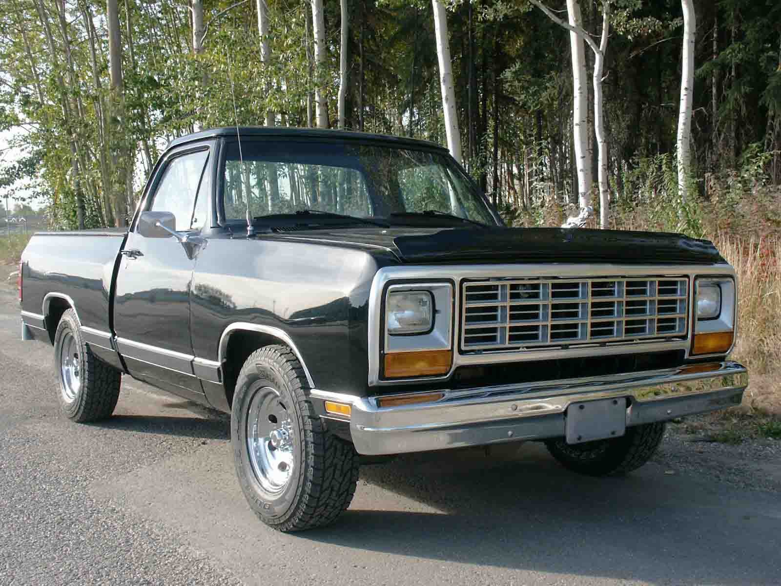 Dodge D 300