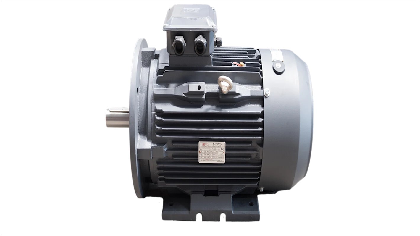 Electric motor RCG T003D4HRCG