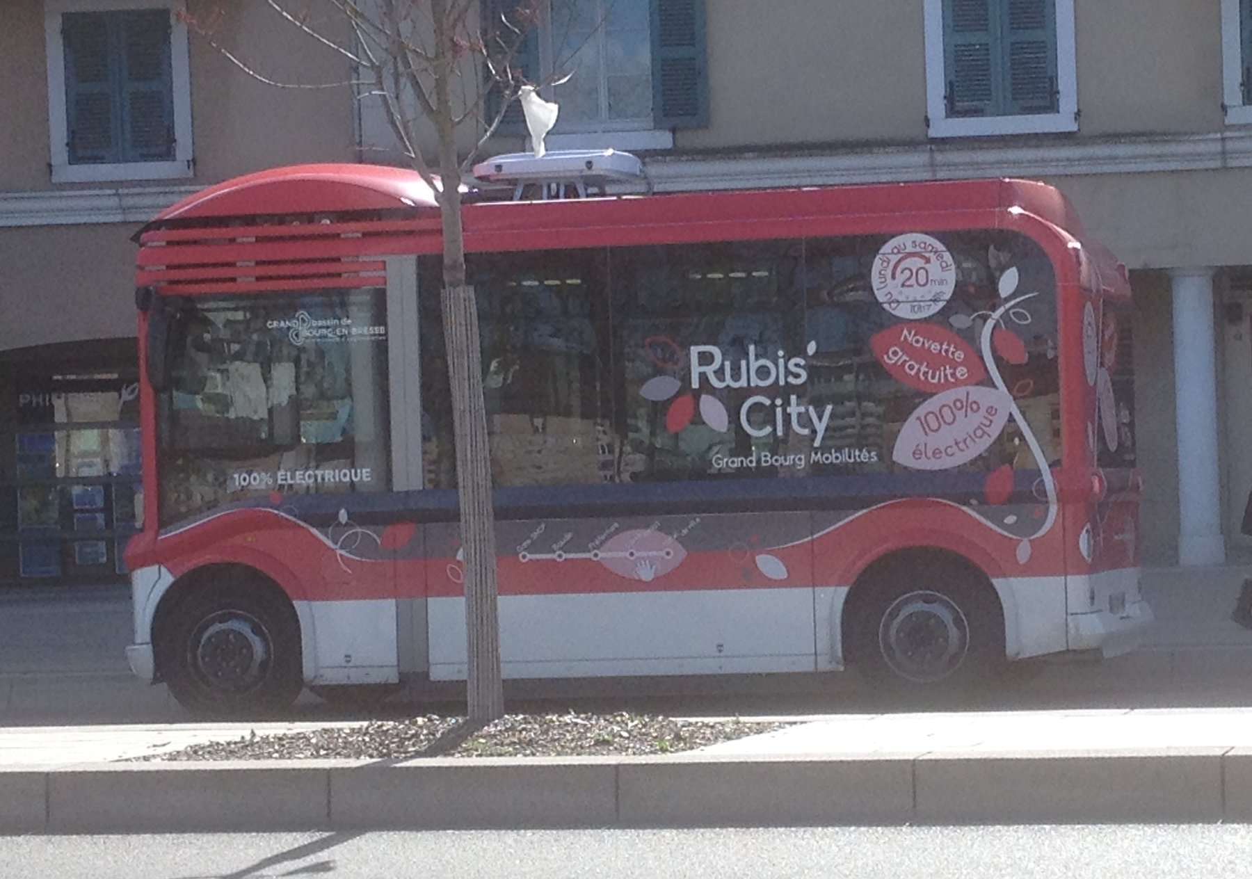 Anhänger RUBIS RUBIS