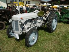 Ferguson TE 20