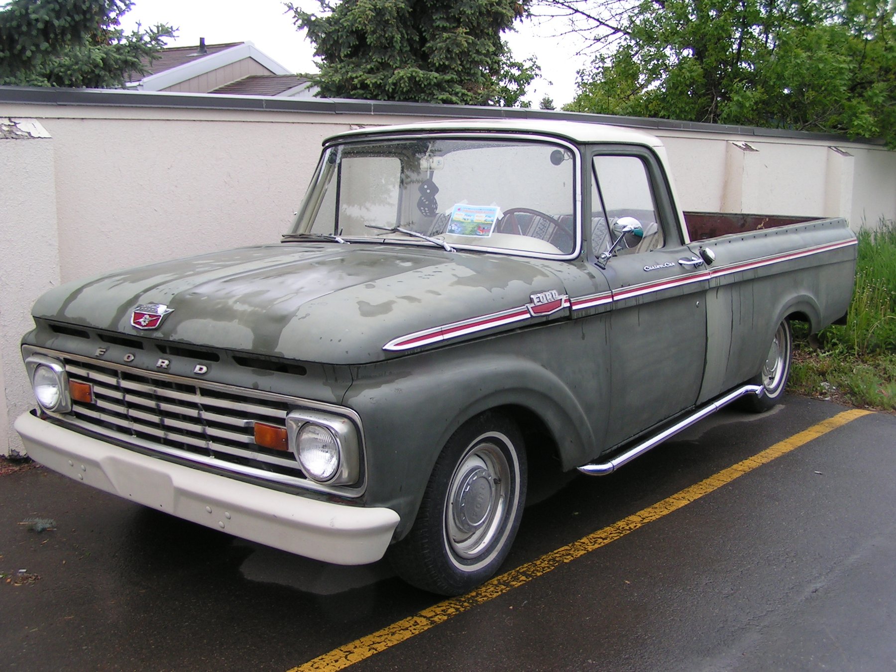 Van Ford FORD F100 CUSTOM CAB