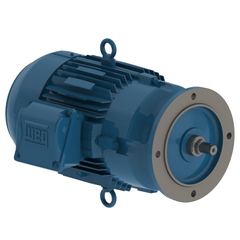 Ceg Premium DG 132M-38-4