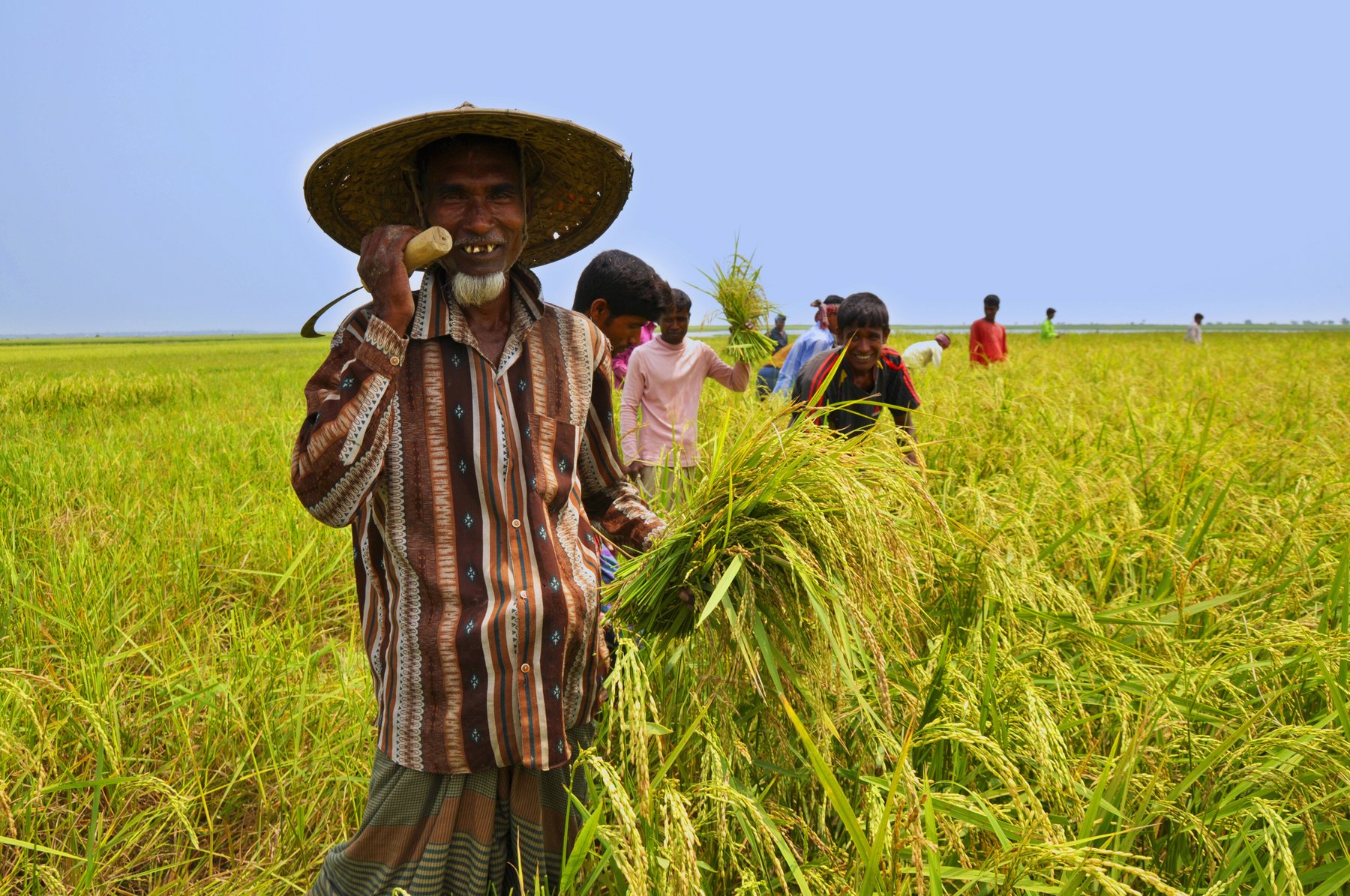 Tractor Farmer FARMER F2-8248 PE