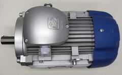 Clear YSS100Lb-4