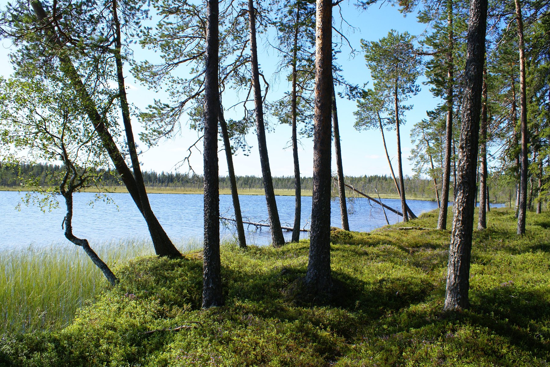 Light trailers up to 750 kg Omavalmiste O.KYLMÄLUOMA