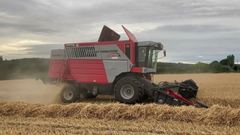 Massey Ferguson Cerea 7274