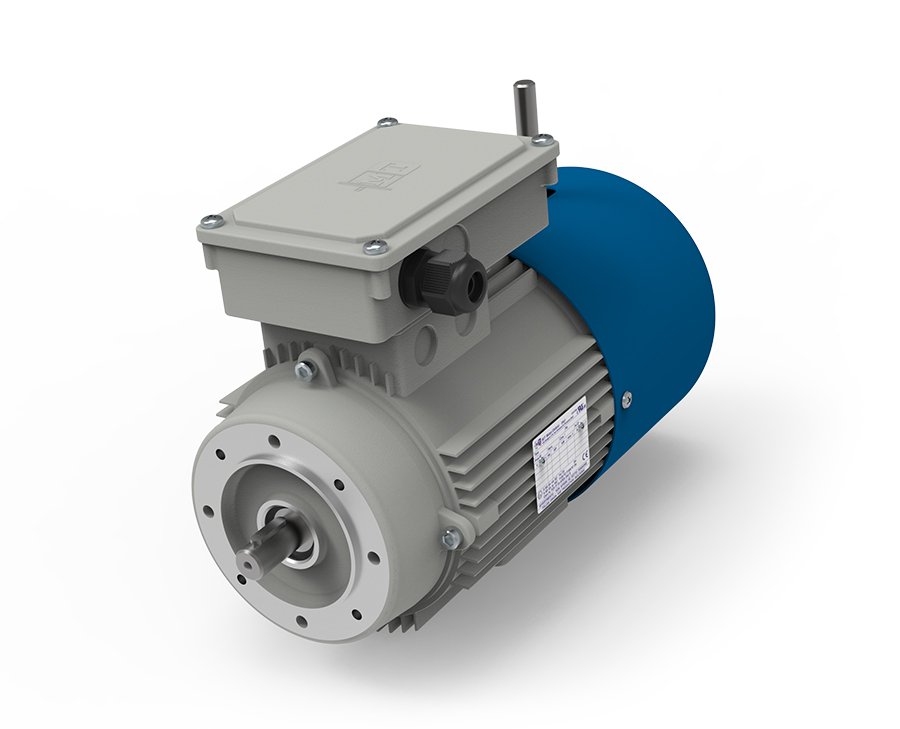 Electric motor Motovario TP90S6