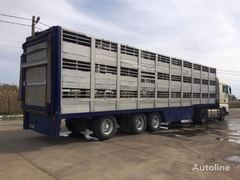 Jumbo D 027 Z