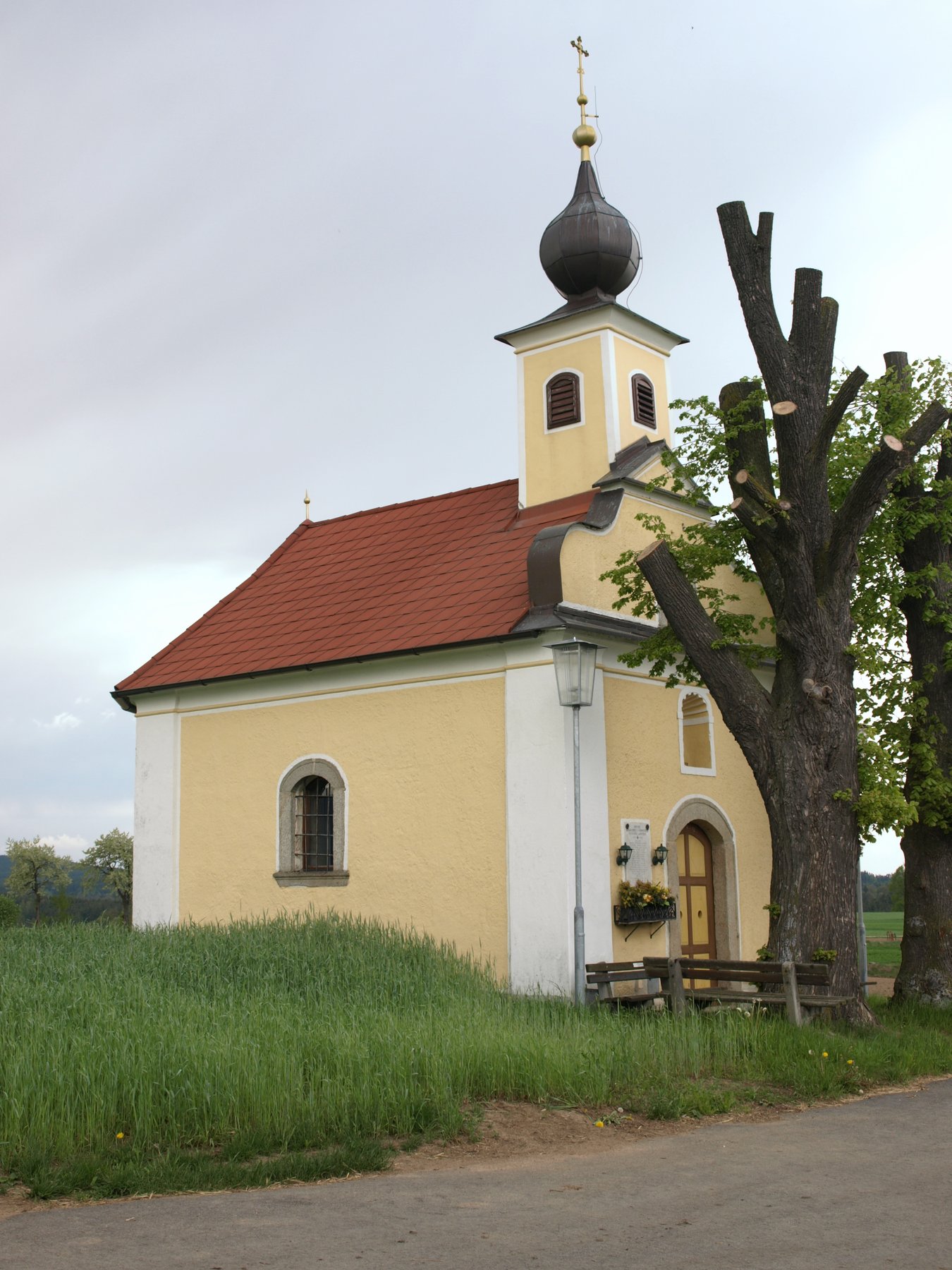 Langfeld LTAL
