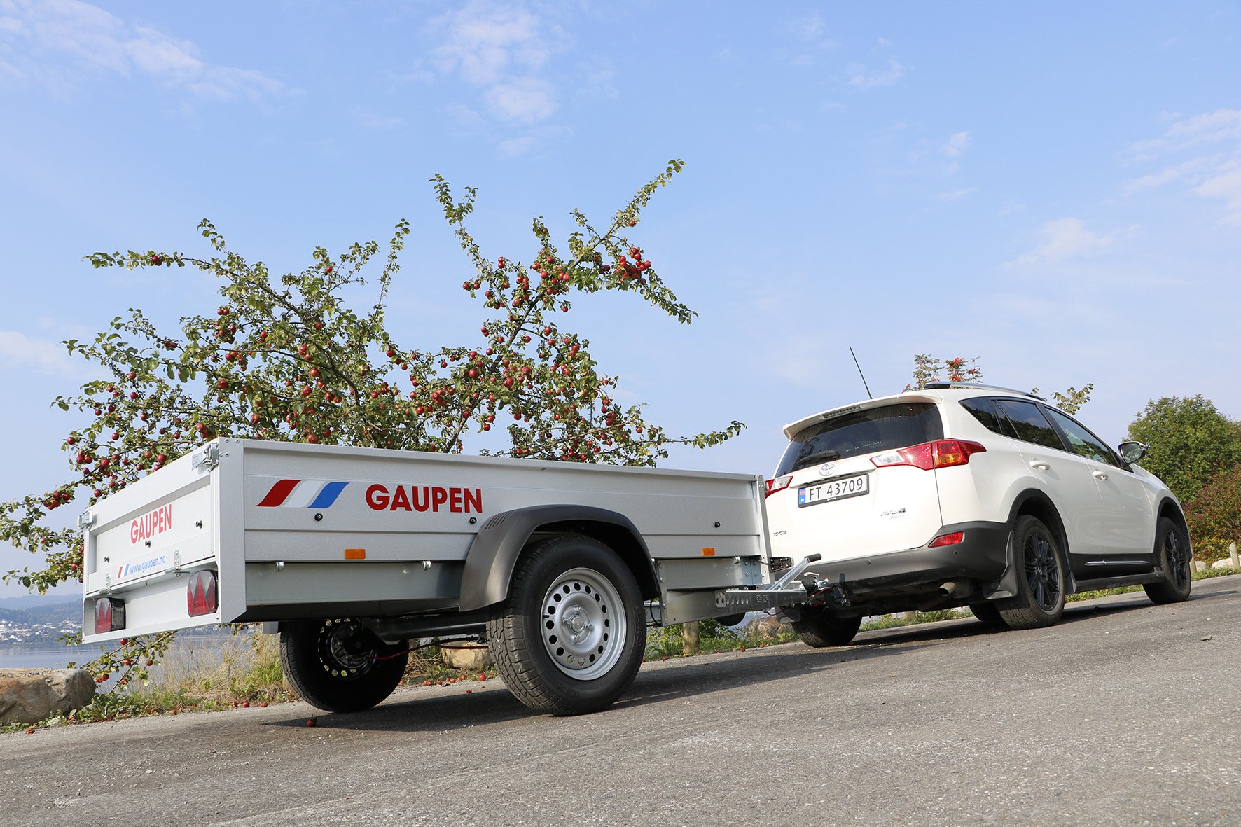 Gaupen A2024