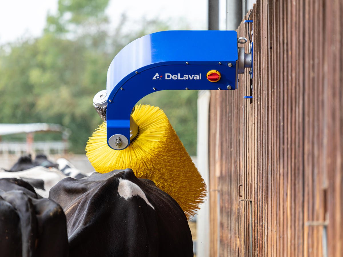 DeLaval Schwingende Kuhbürste SCB
