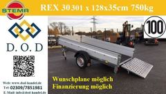 Stema REX 30