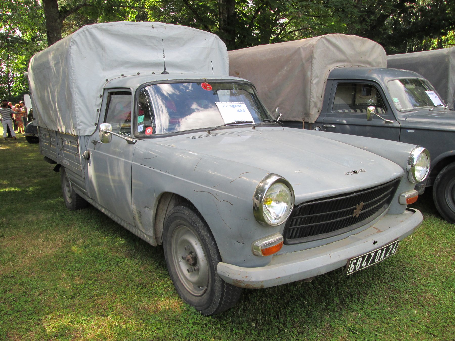 Van Peugeot 404 V10