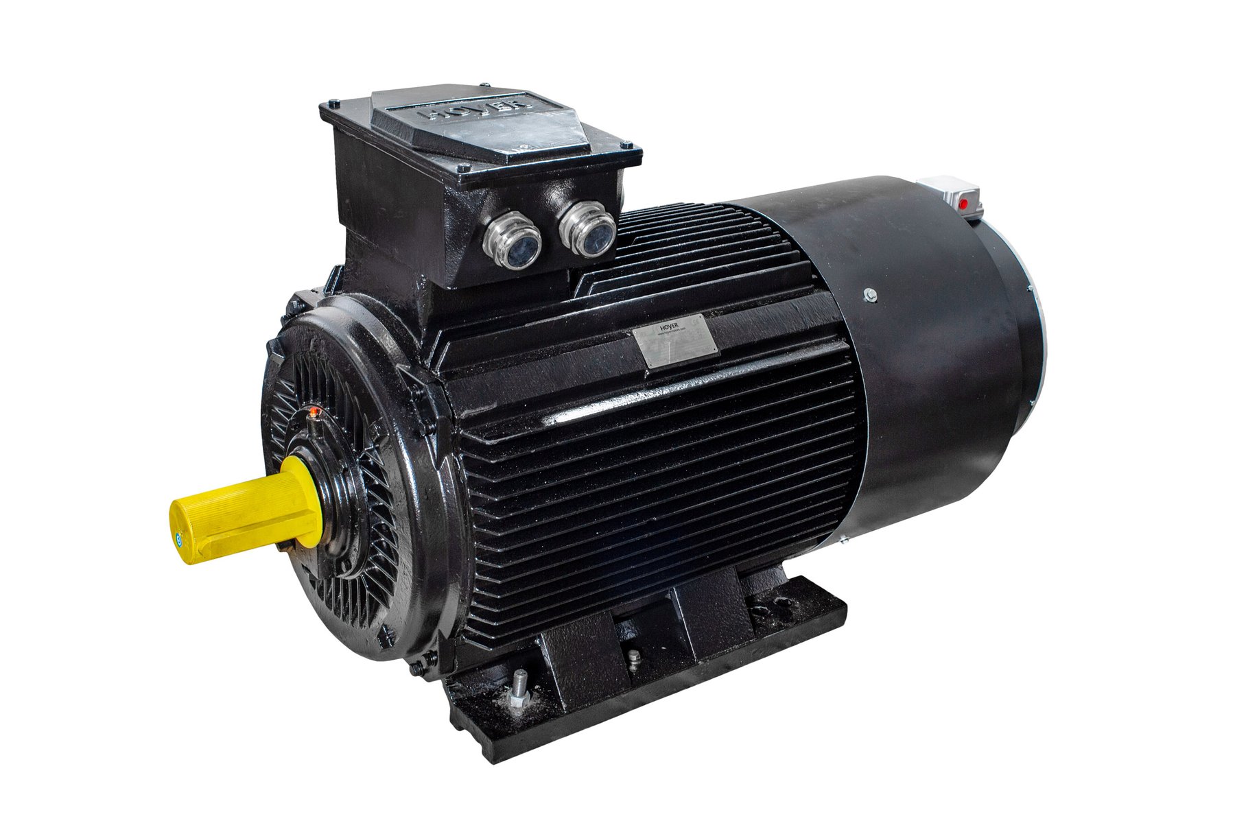 Electric motor Hoyer HMC2 200L1-2