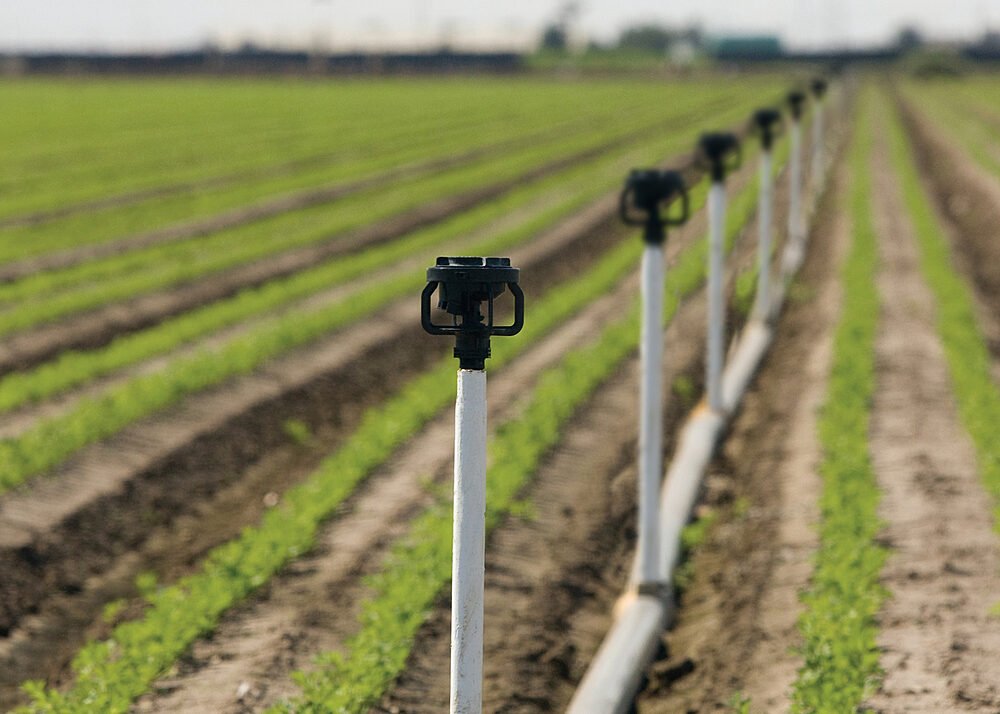 Turf irrigation Rain Bird LF2400 Low Flow Sprinkler
