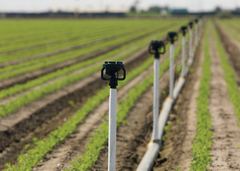 Rain Bird LF2400 Low Flow Sprinkler