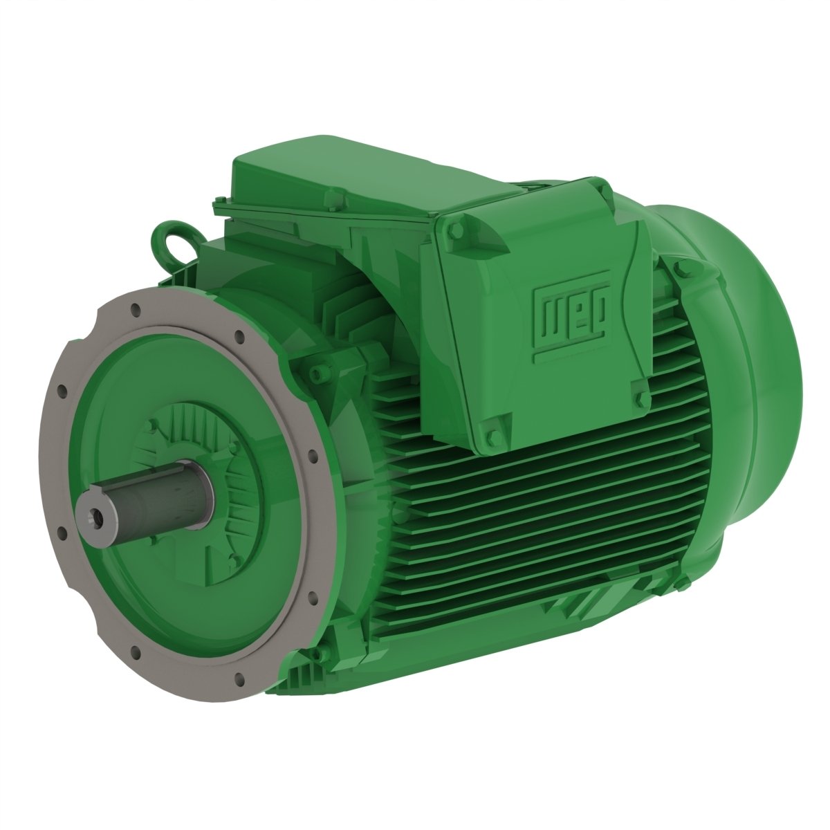 Electric motor Mechtric WE225M-4