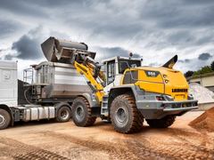 Liebherr LTM1500-8.1 (50M)