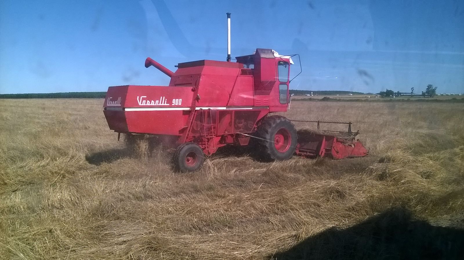 Harvester Vassalli Pluma