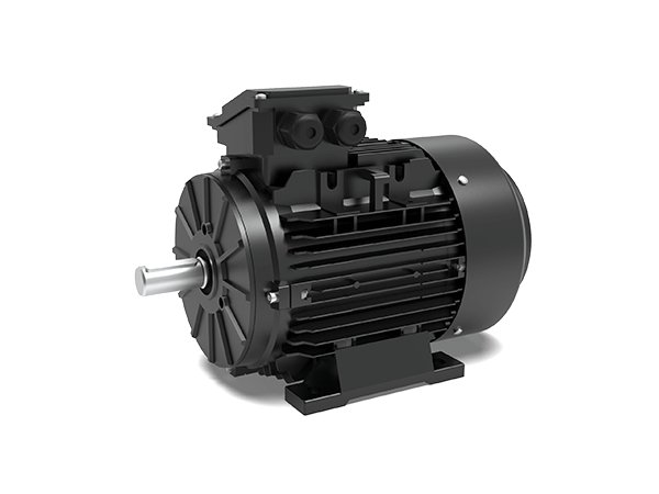 Electric motor Techtop TAP/TCP 100L-6