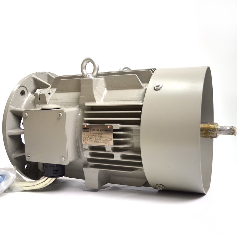 Electric motor Atlas Copco AT160L1-202