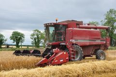 Case IH 2166