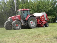 McCormick MTX 175