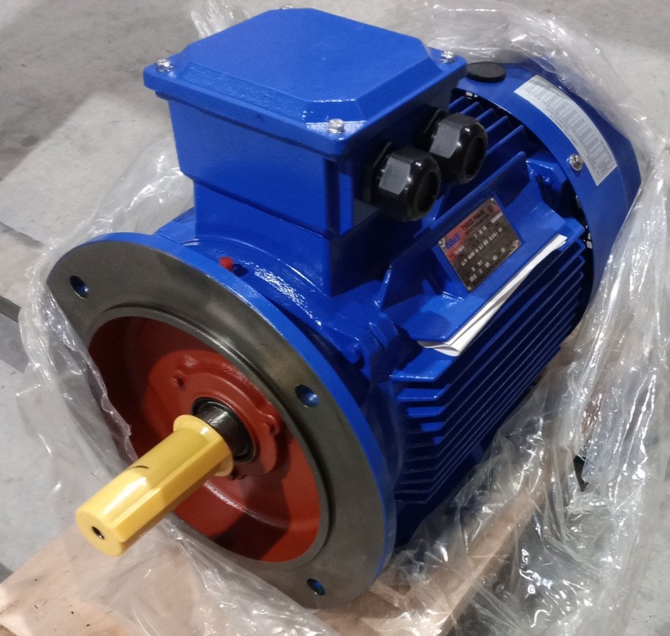 Electric motor S&l Y2VP-160L-2