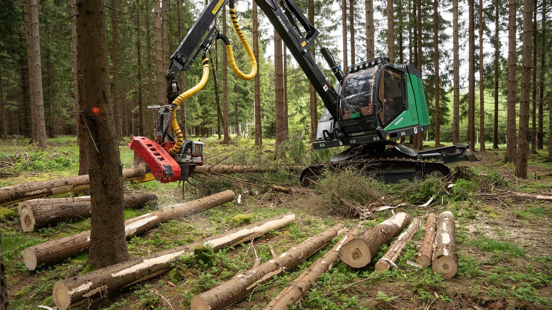 Log Max 5000V
