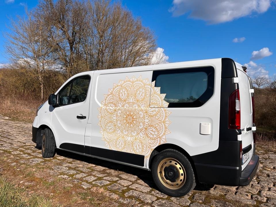 Transporter Fiat 244 D