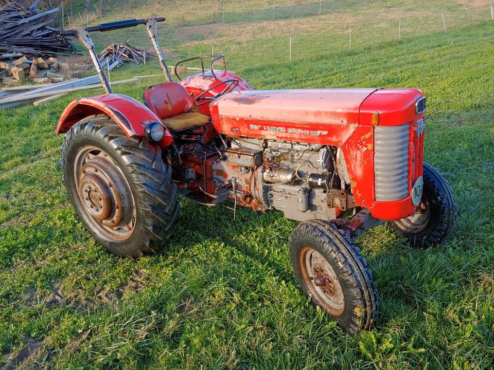 Tractor Massey Ferguson MF 65