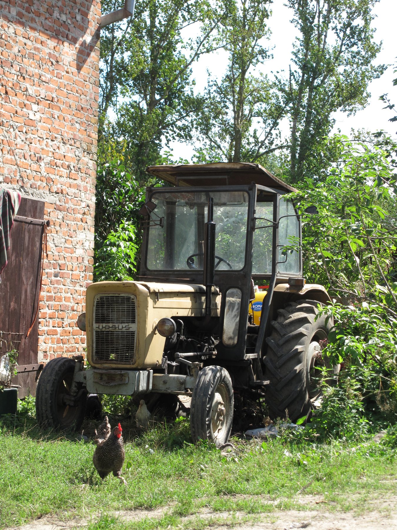 Tractor Ursus C-350