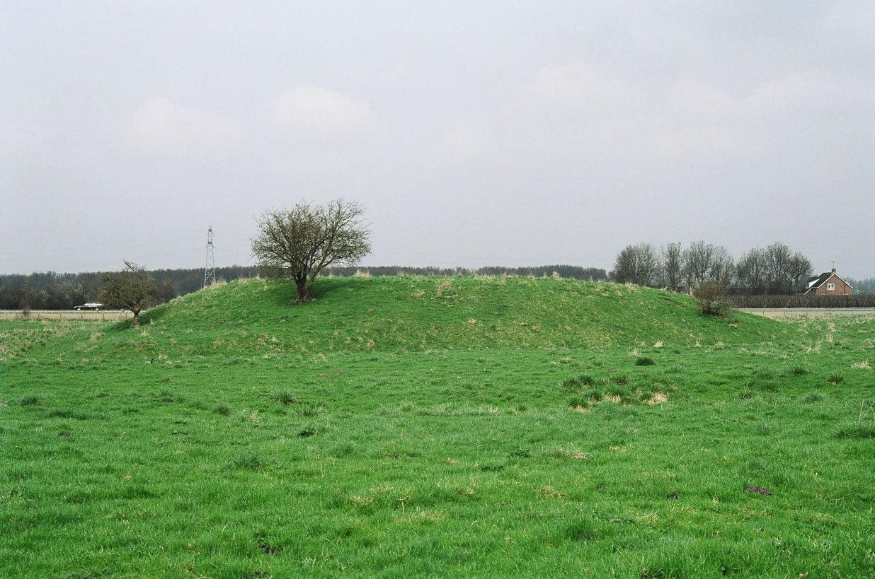 DE VLIEDBERG VSP 10 LD