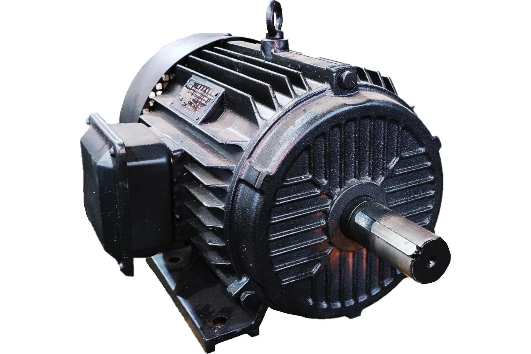 Electric motor EMT Y2-132S12