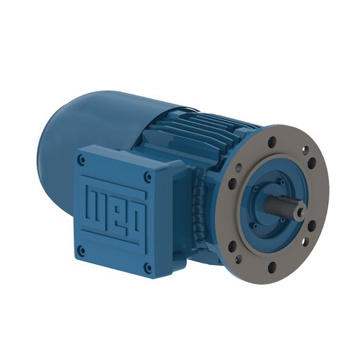 Electric motor Rxm Ef Series T11D2RXMEF