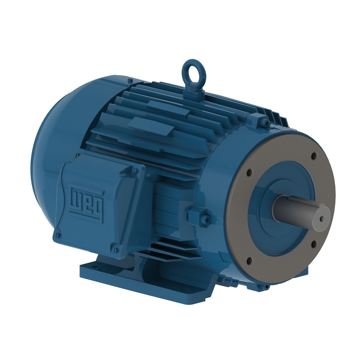 Electric motor WEG K10 STDE2