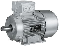 Siemens 1LA7169-2AA61-Z