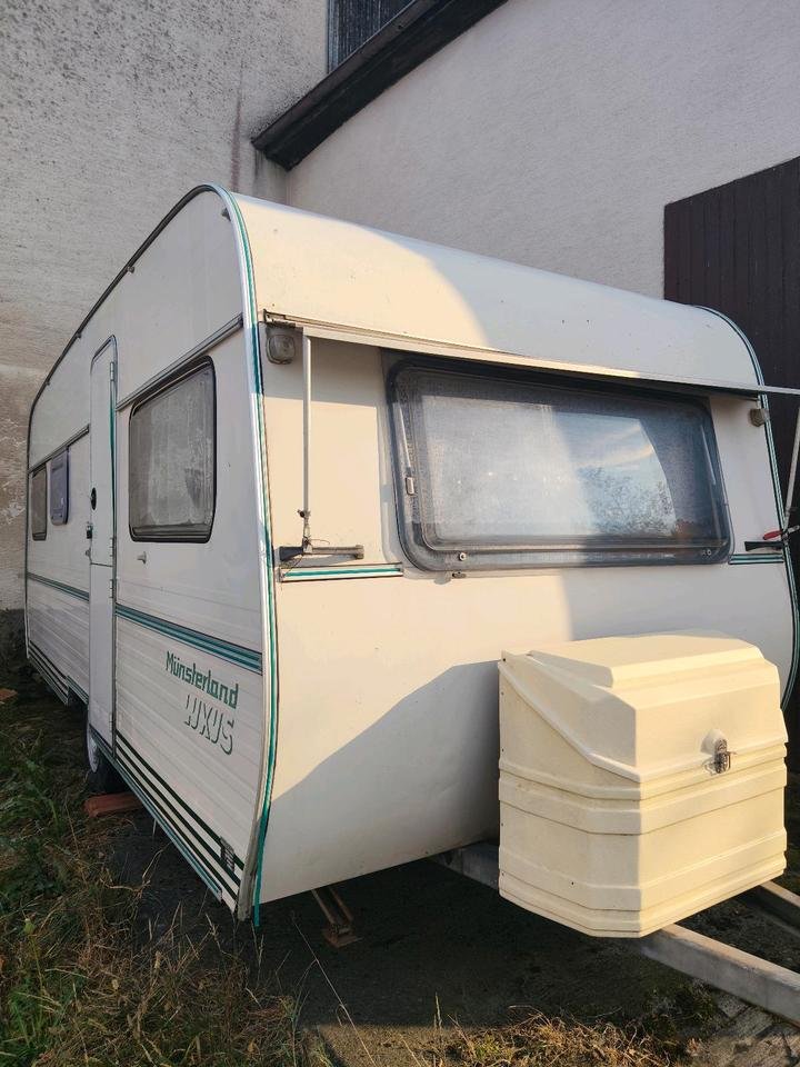 Trailer MUNSTERLAND LUX490K/LUXUS