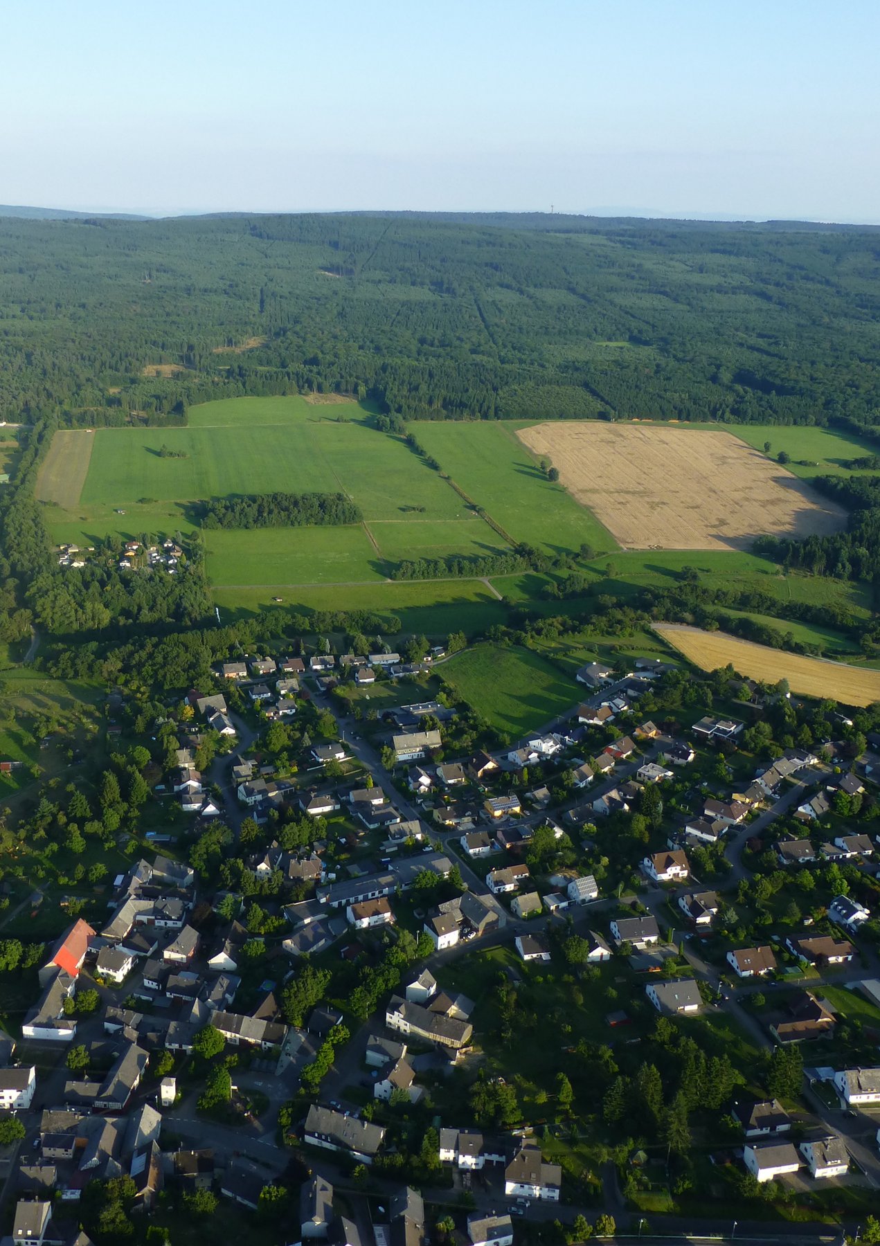 ACI RIESWEILER VK330