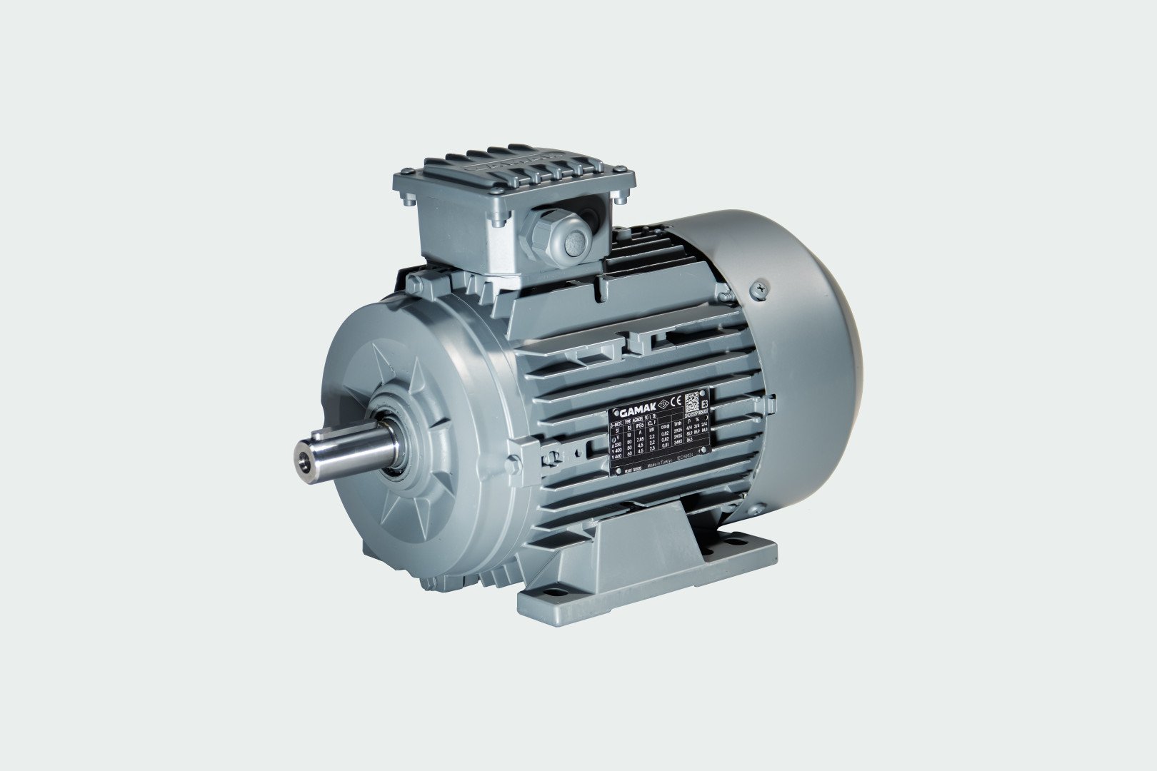 Electric motor Gamak AGM2E132S4