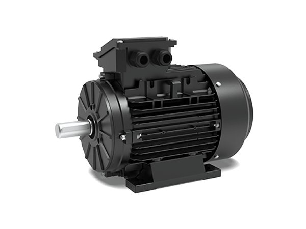 Electric motor Techtop TAP/TCP 802-2