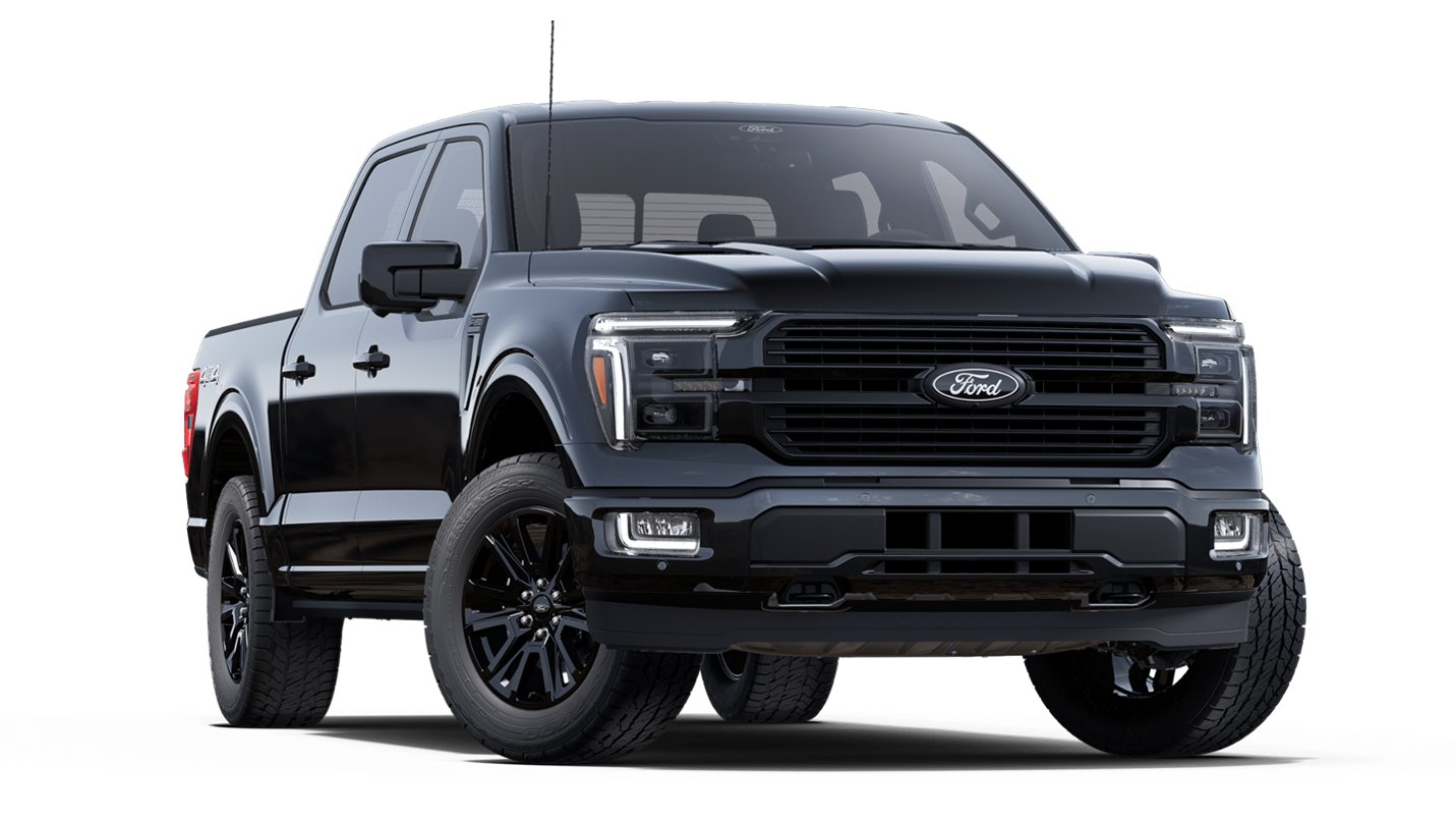 Van Ford F-150PLTINUM