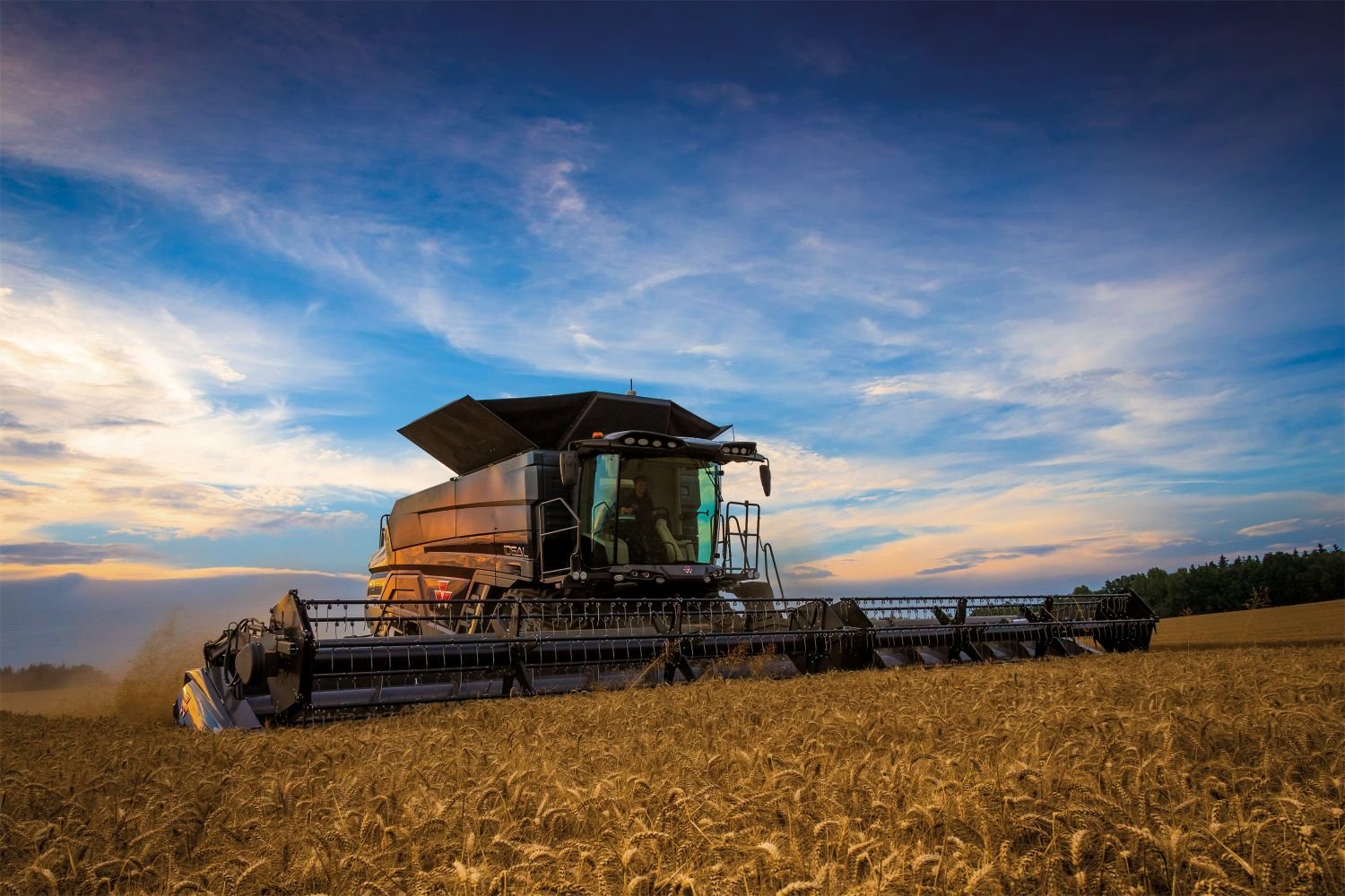 Erntemaschine AGCO Ideal
