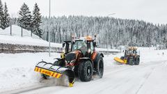 Luzhong LZ454G