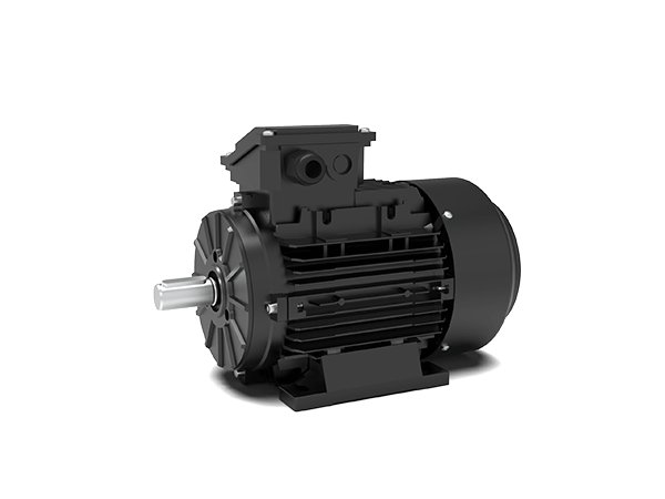 Electric motor Techtop TCI 802-2
