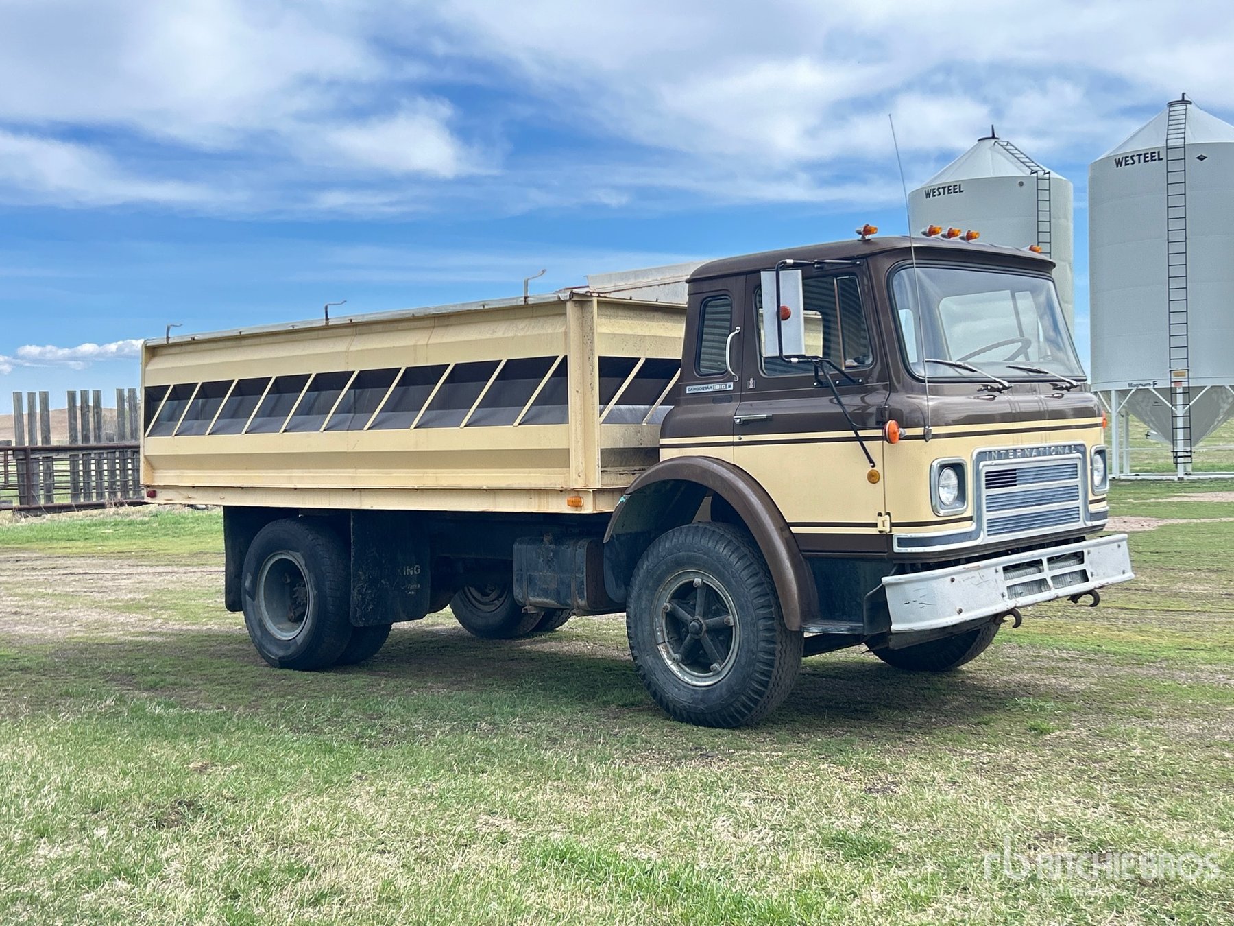 Lastwagen International COF-1810B