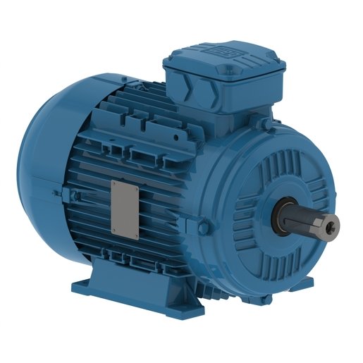 Electric motor WEG K12B ALE2