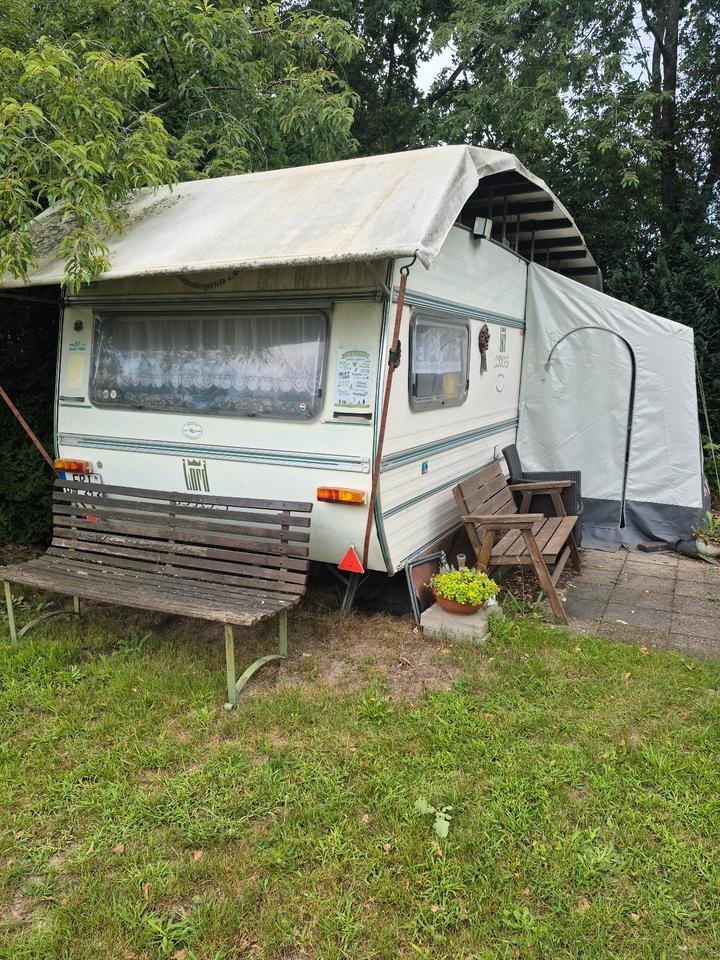 Trailer LORD LORD 550 TL
