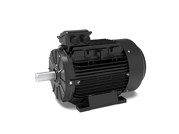 Electric motor Techtop TAP 160M-4