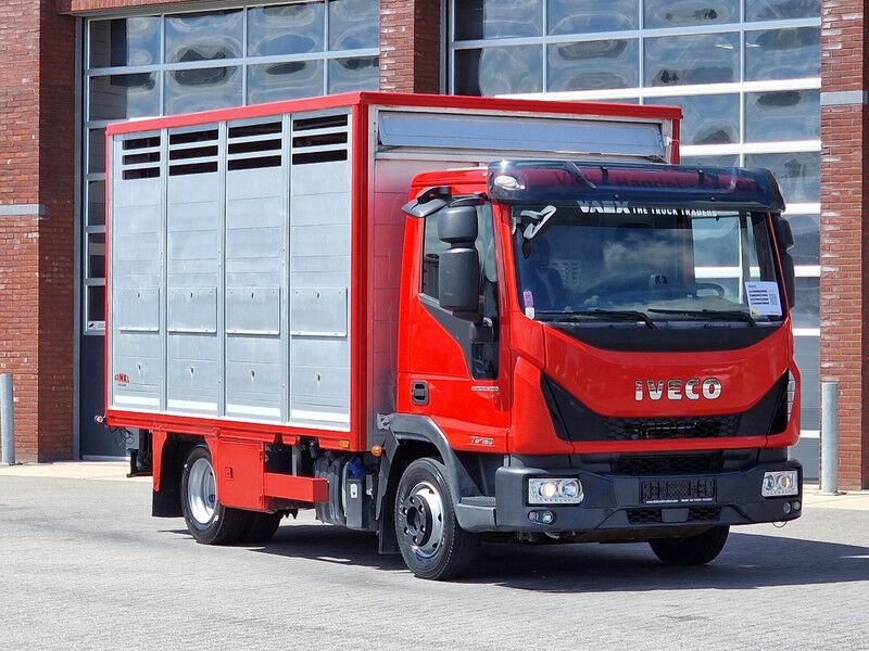 Truck Iveco LIVESTOCK CARRIER